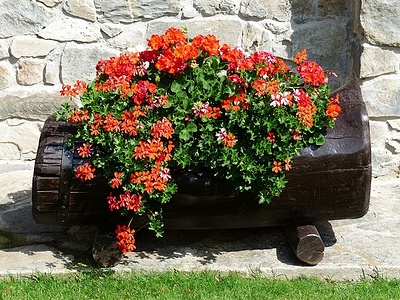 Apmw base flowers 4193
