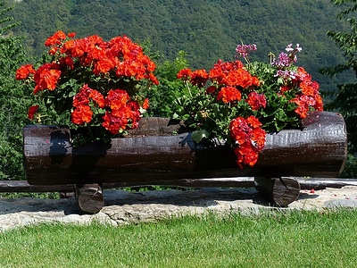 Apmw base flowers 4194