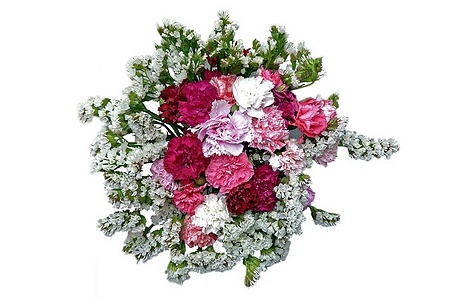 Apmw base flowers 4206
