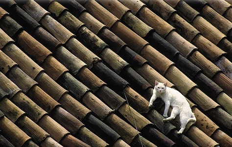 Apmw base cats 0245