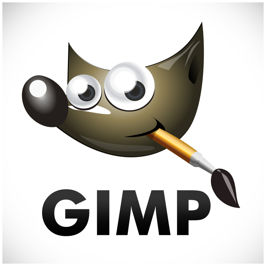 Corso Di Fotoritocco Gimp